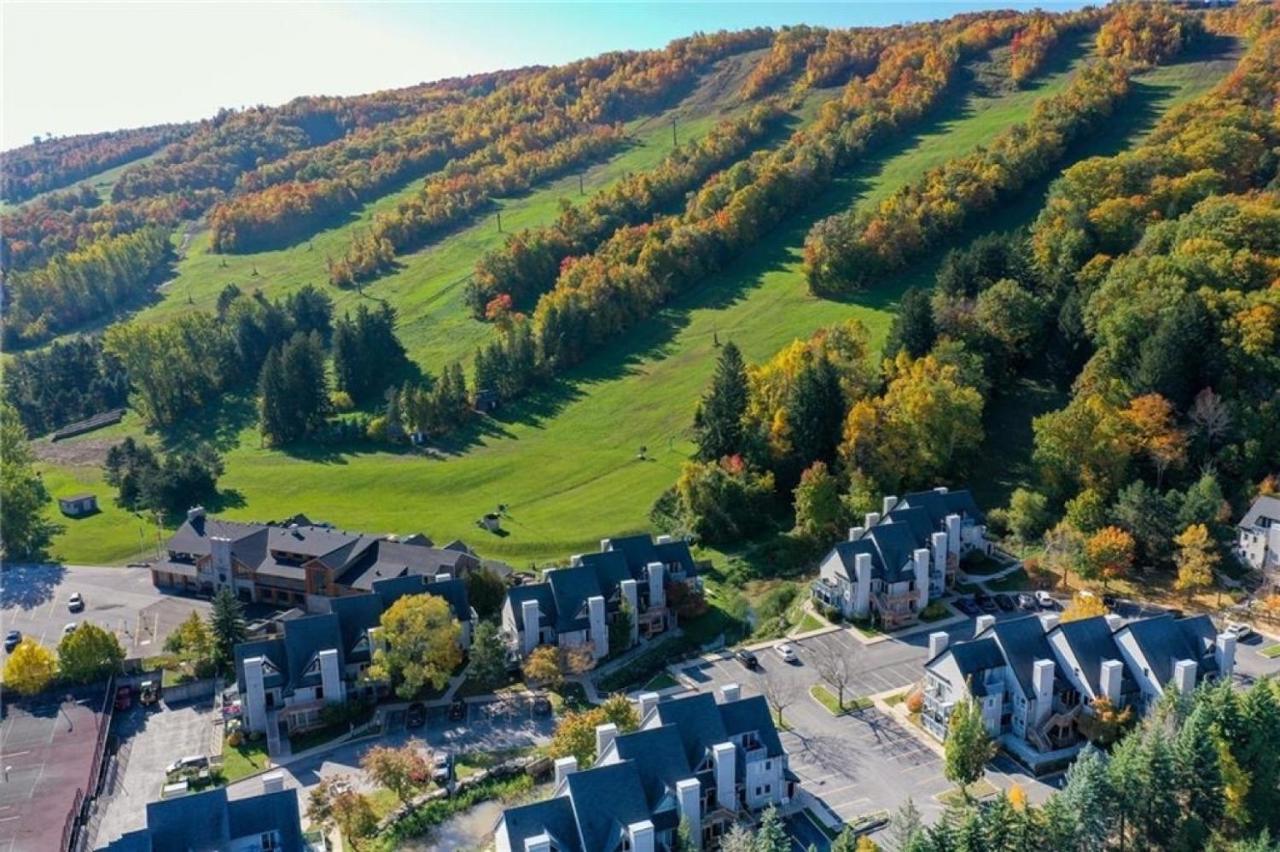 Blue Mountain At Your Door Step Blue Mountains Zewnętrze zdjęcie